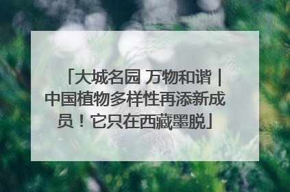 大城名园 万物和谐｜中国植物多样性再添新成员！它只在西藏墨脱